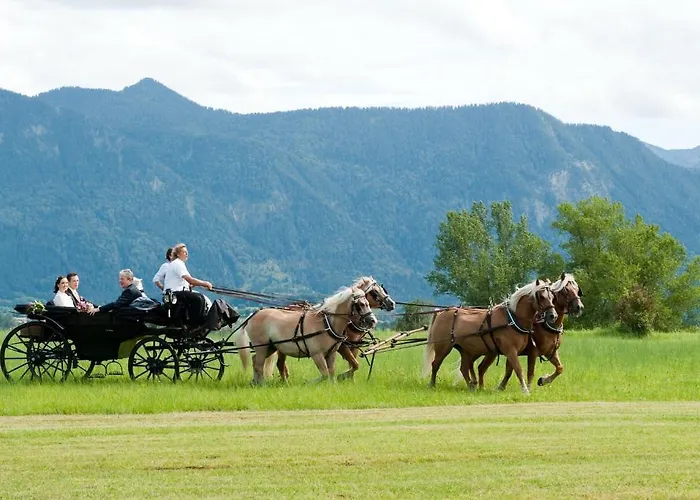 Hotel Alpenhof Murnau Murnau am Staffelsee